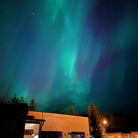 Arctic Aurora فيلة *