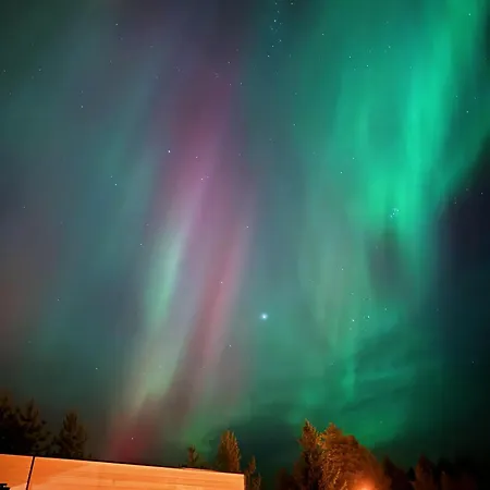 فيلة Arctic Aurora *