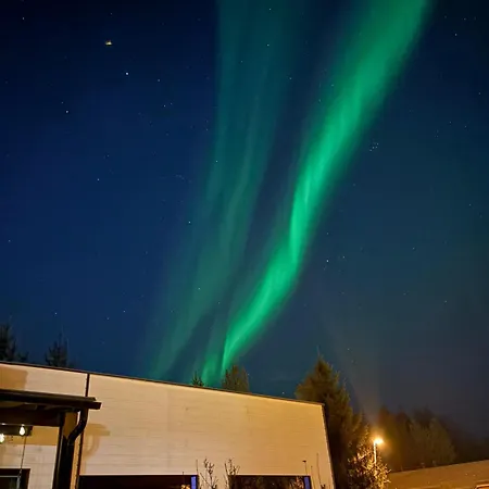 Arctic Aurora *