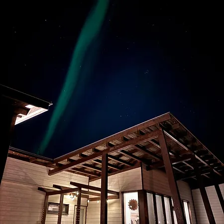 فيلة Arctic Aurora *